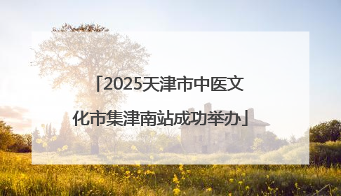 2025天津市中医文化市集津南站成功举办